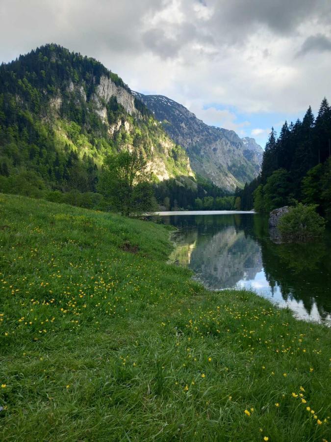 Apartman A&J Žabljak Exteriér fotografie