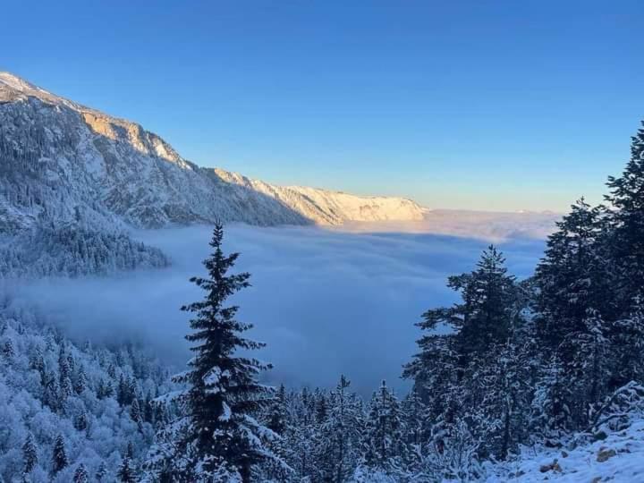 Apartman A&J Žabljak Exteriér fotografie