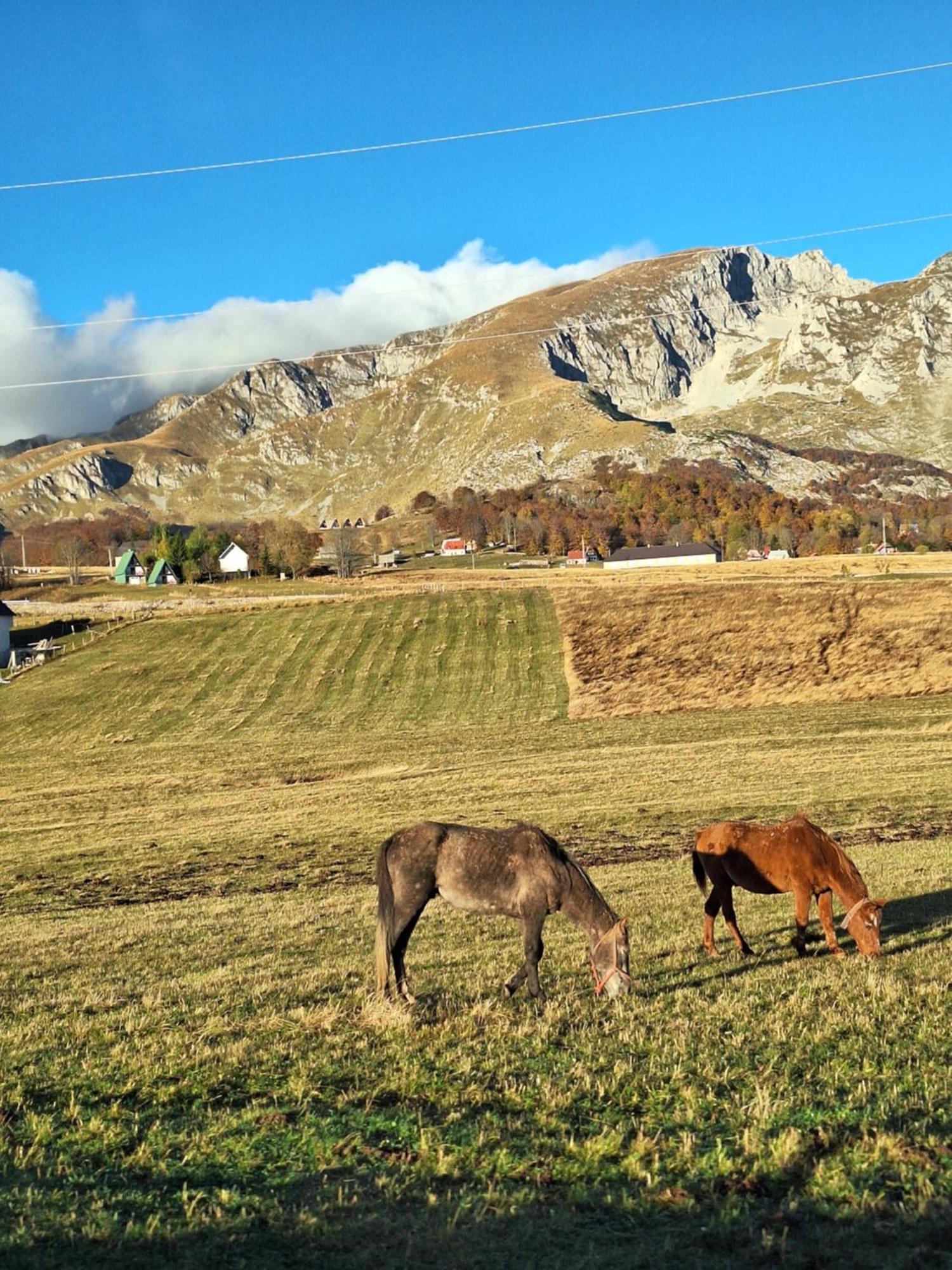 Apartman A&J Žabljak Exteriér fotografie