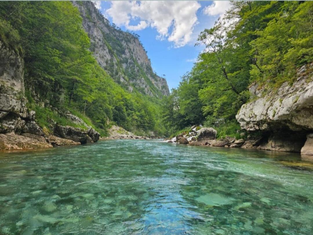 Apartman A&J Žabljak Exteriér fotografie